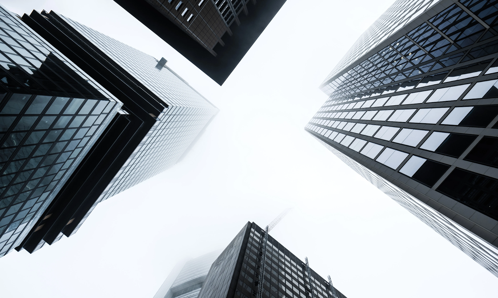 Comparison Between Key Carbon Reporting Platforms